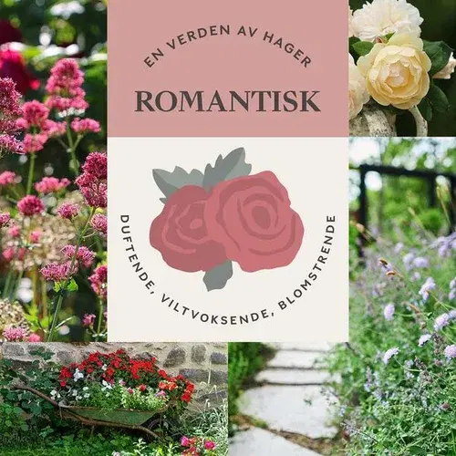ROMANTISK HAGE – duftende, viltvoksende og blomstrende