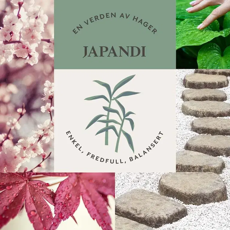 JAPANDIHAGE  - enkel, fredfull og balansert