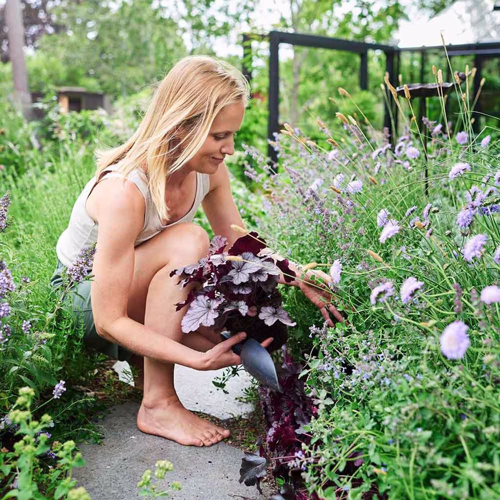 Create a perennial bed that blooms all season