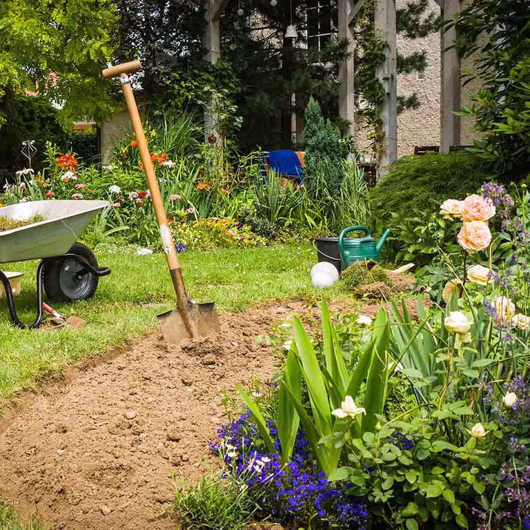 Flower beds – how to succeed