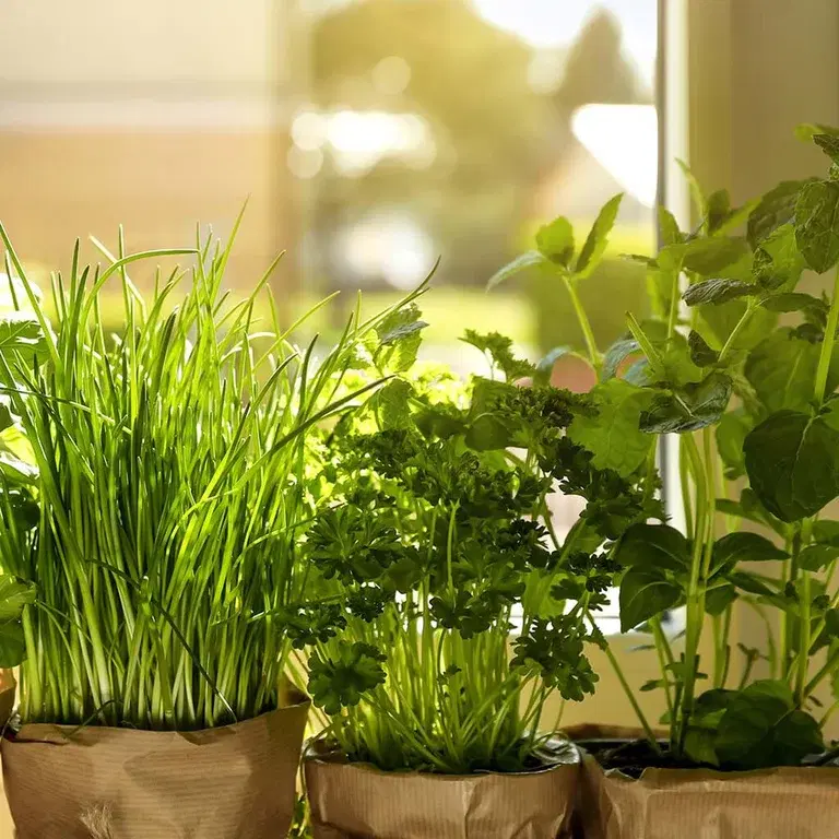 Herlig med krydder på kjøkkenet