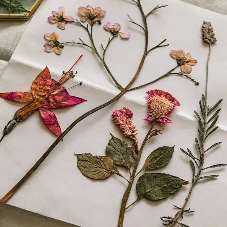 Press flowers and create beautiful decorations