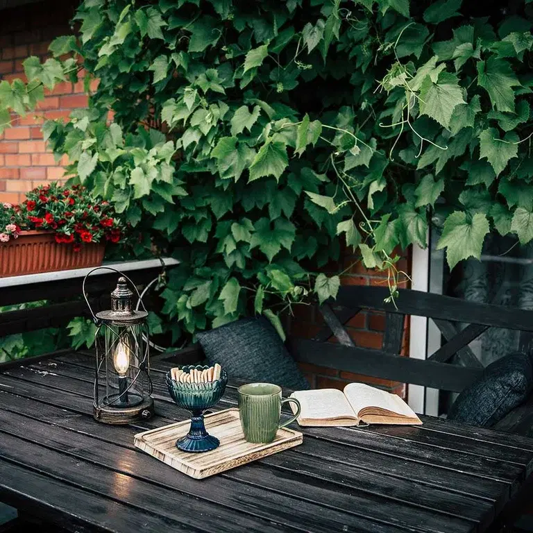 Climbing plants and vines on the balcony.