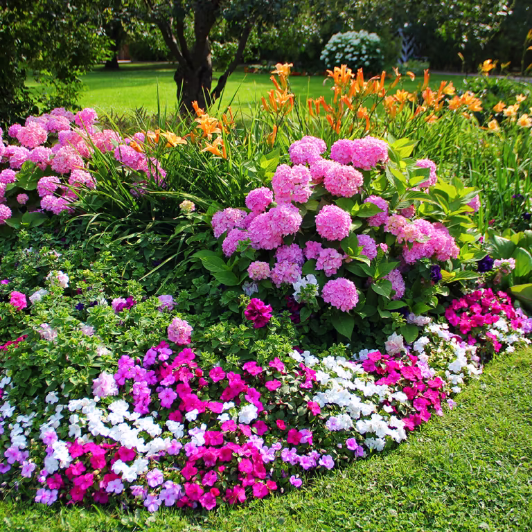 Blomsterbed – fire ferdigkomponerte bed med planteforslag 