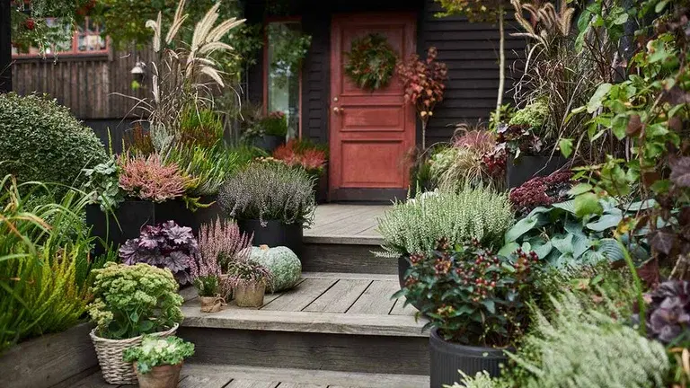 Make it autumnal on the balcony, terrace and at the entrance.