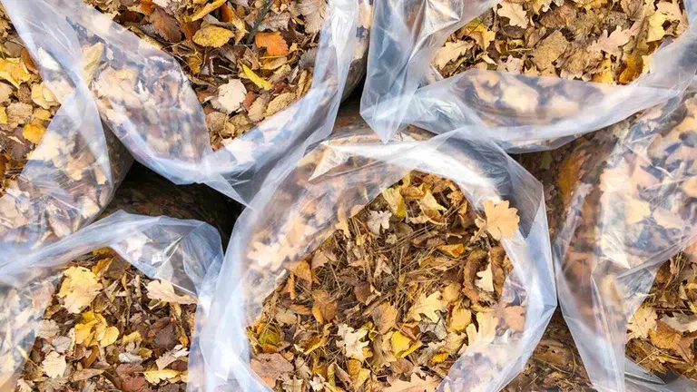 Make your own soil and mulch from autumn leaves and grass clippings