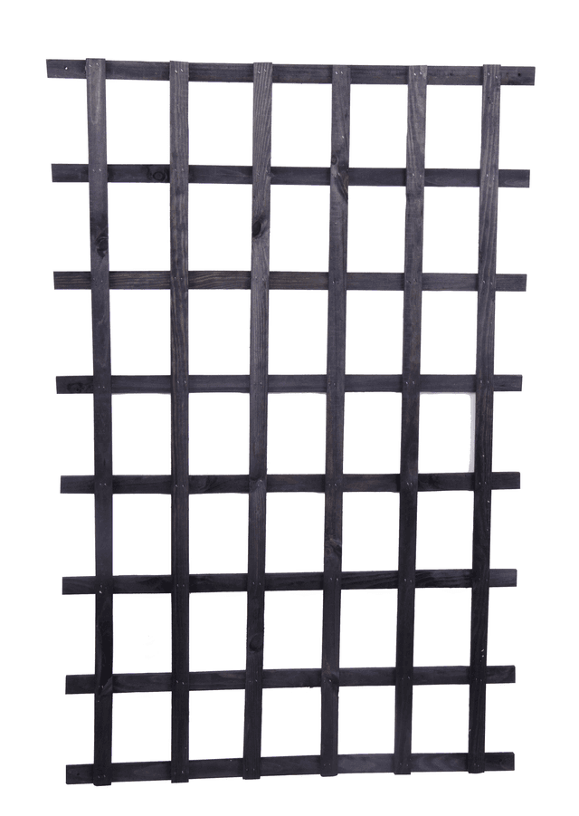 Espalier og oppbinding