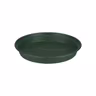 Sauser Green basics 