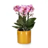 Ada pot D13 yellow