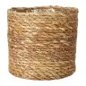 Potte Naledi