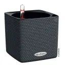 Selfwatering Pot Cube