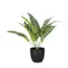 Artificial plants