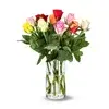 Cut flowers