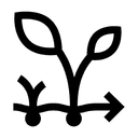 Cultivation time  60 days