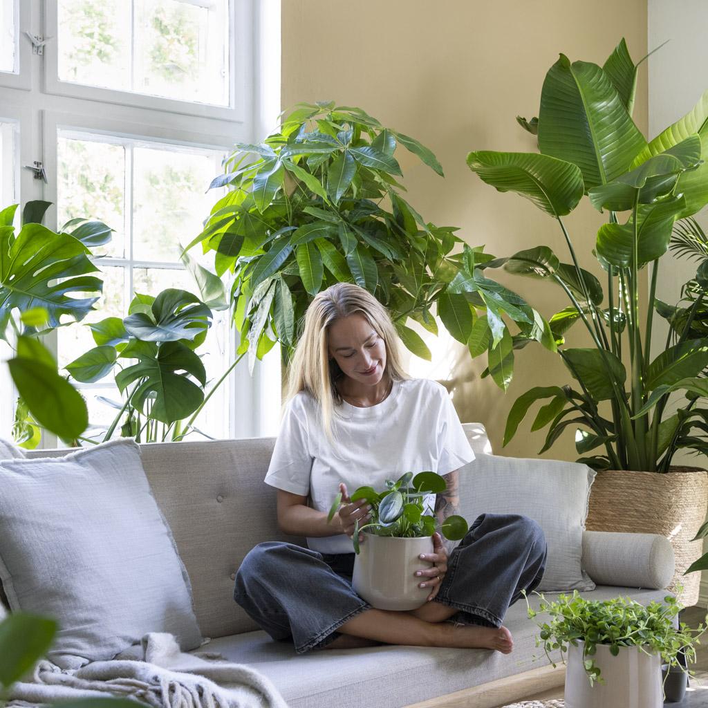 Her er plantetrendene for 2025