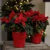 Christmas pots