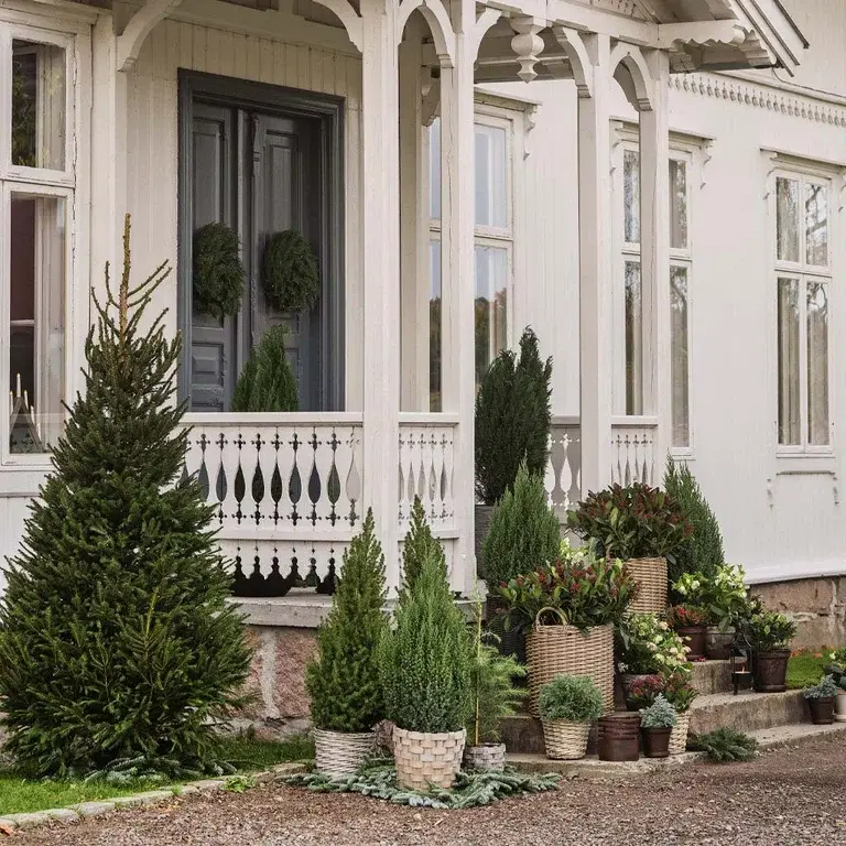 Cram the entrance with different varieties of colorful plants.