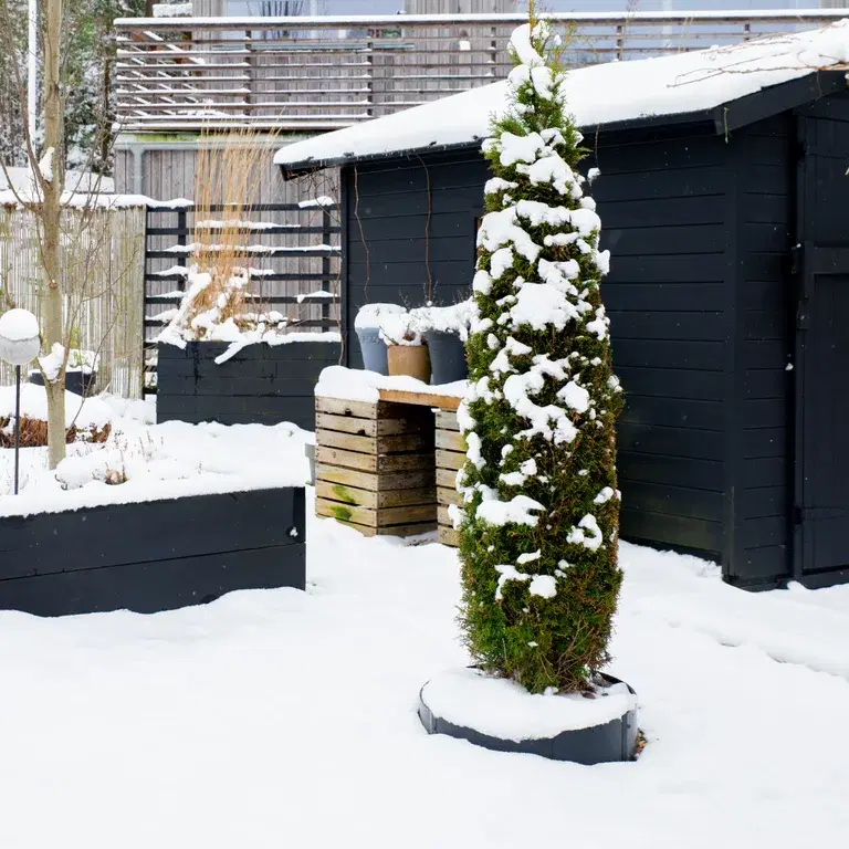 Hagebesøk: Stramme linjer mot myk snø hos Sylvia i Larkollen 