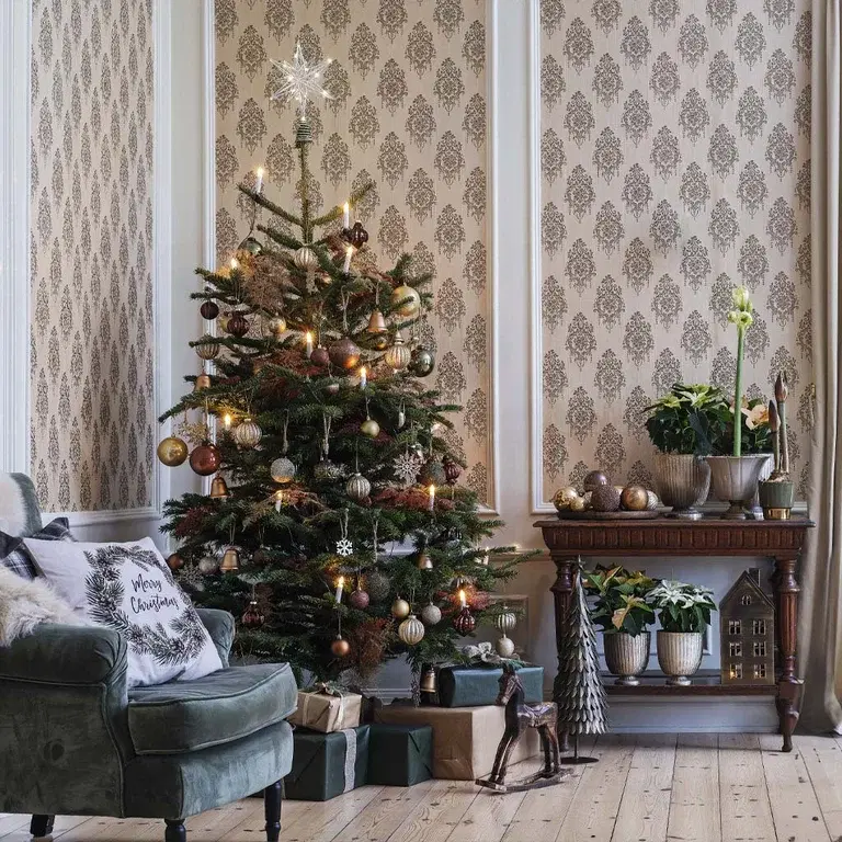 Slik lykkes du med juletreet – tips og råd om stell 