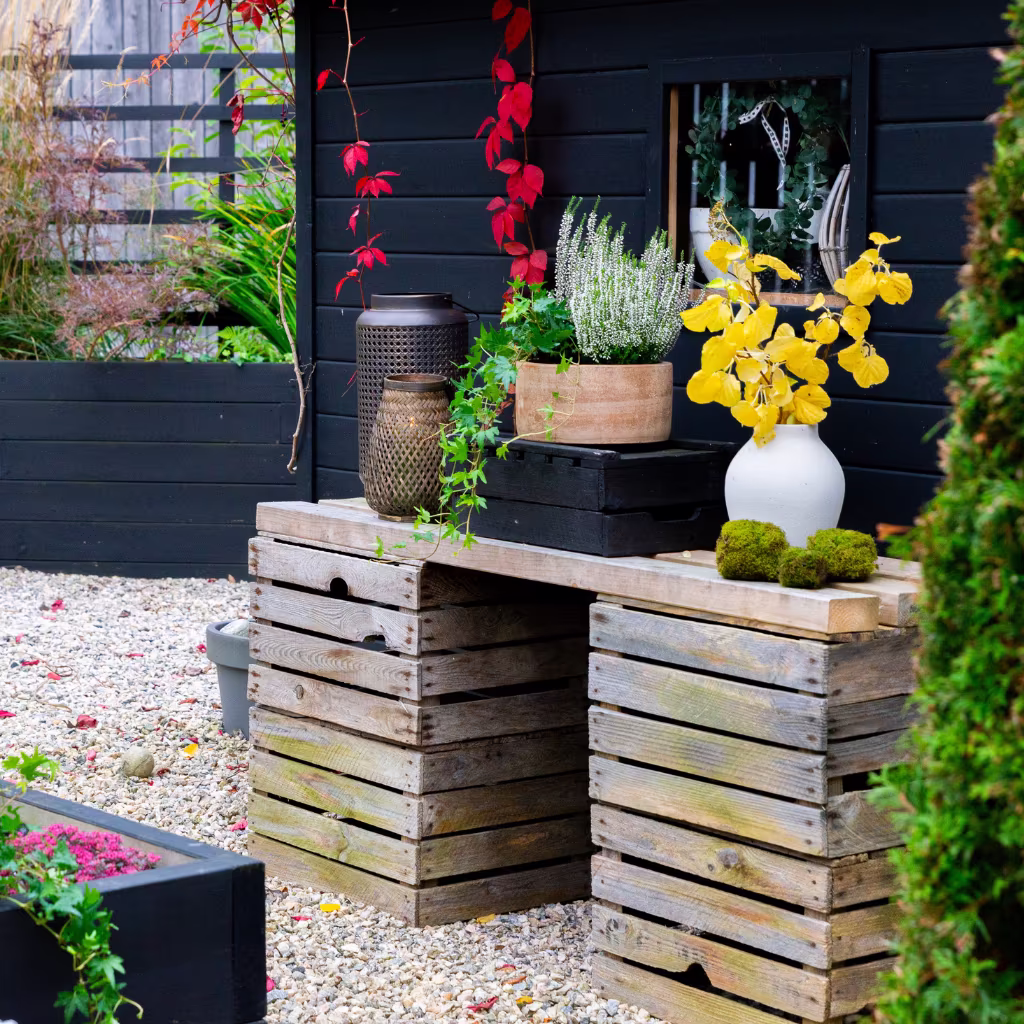 Garden visit: Autumn in Sylvia’s Japanese garden