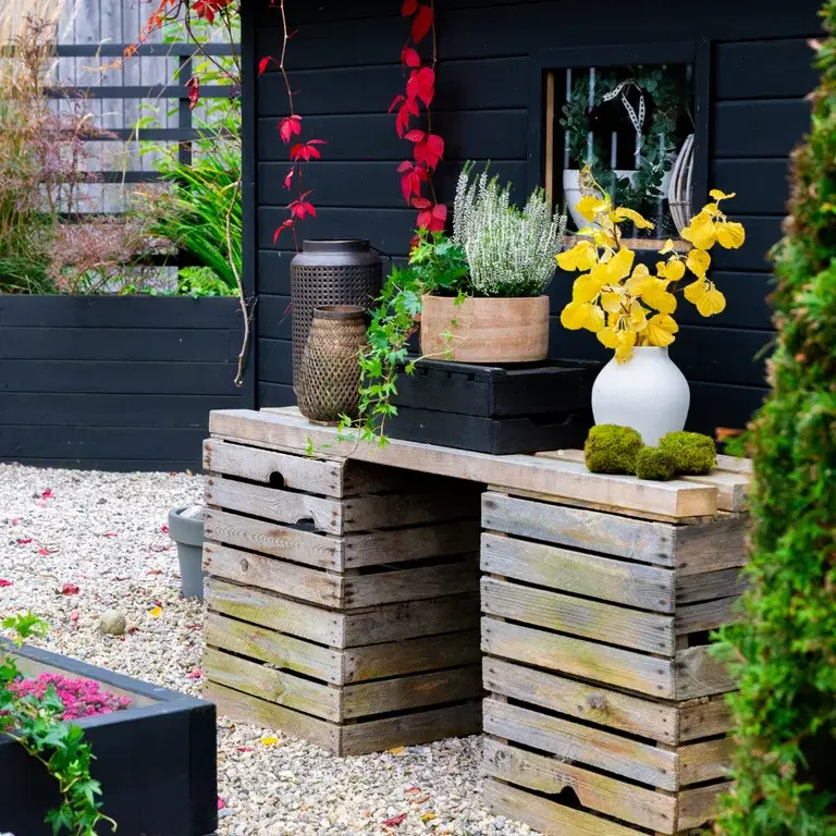 Garden visit: Autumn in Sylvia’s Japanese garden