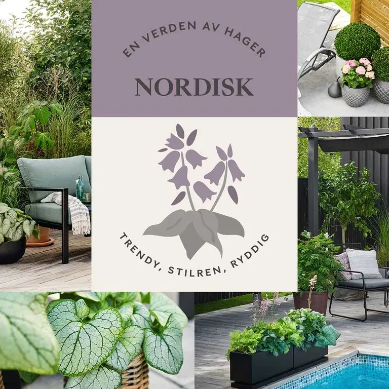 NORDISK HAGE – trendy, stilren og ryddig