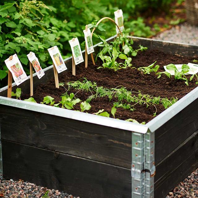 Plantebed