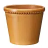 Potte Elliot