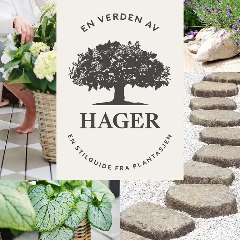 Bli med inn i en verden av hager