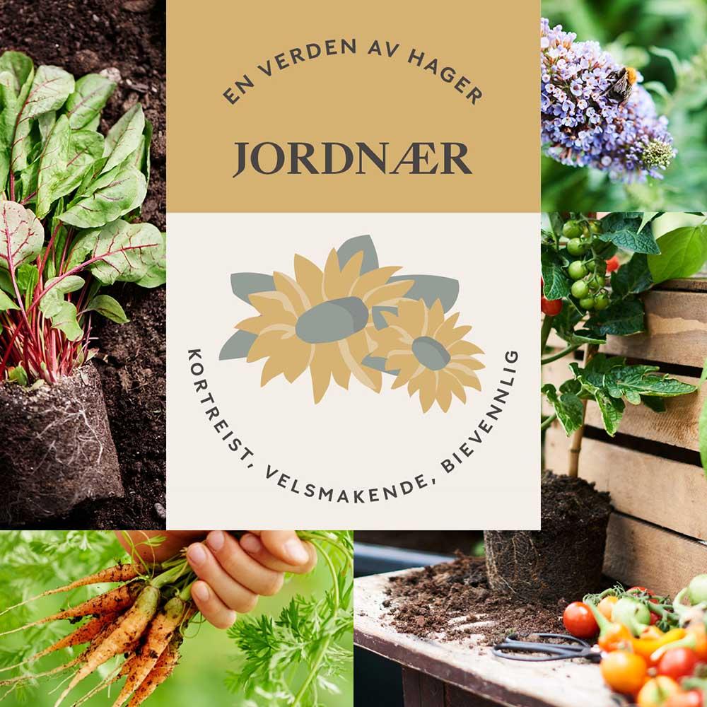 Dette er en bildeillustrasjon av  Kortreist, velsmakende og bievennlig