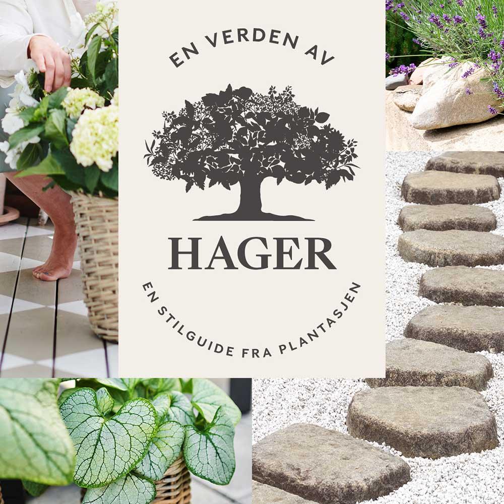 Dette er en bildeillustrasjon av  En verden av hager - en stilguide fra Plantasjen