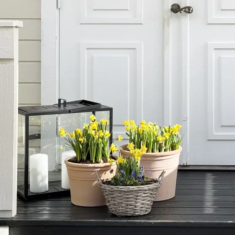 Pynt opp inngangspartiet til påske 