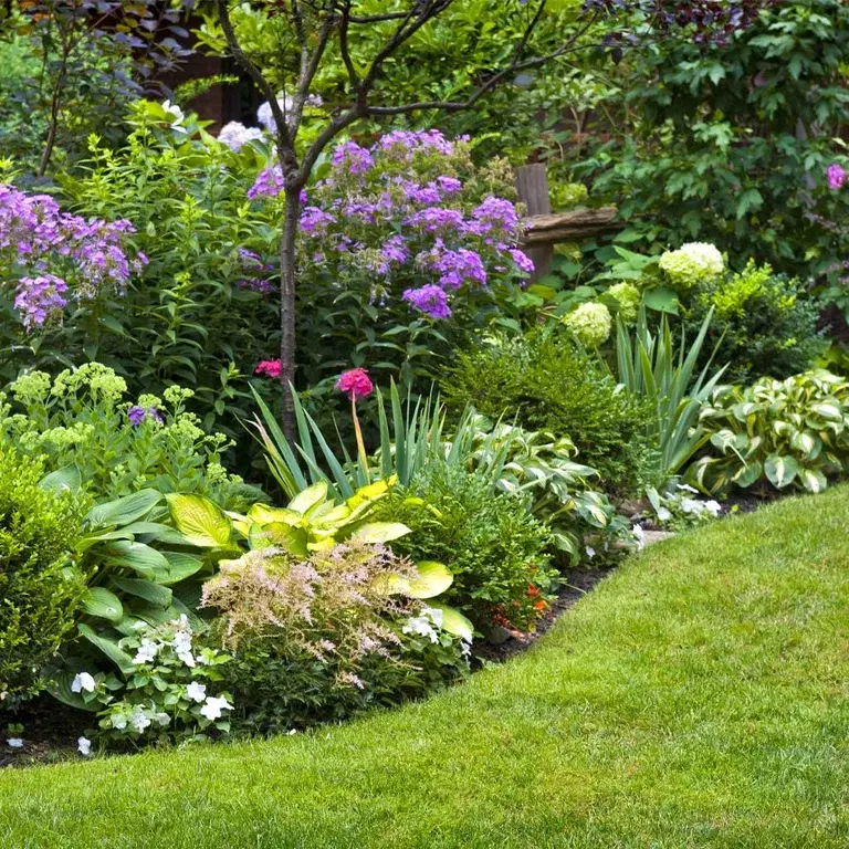 Blomsterbed – slik lykkes du 