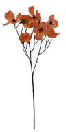 product variant