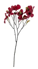 Hollywood snitt kunstig