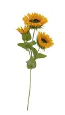 product variant