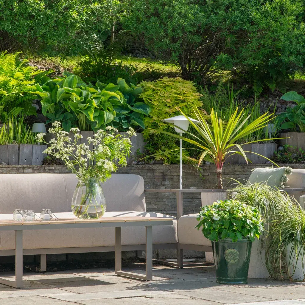 Up to 40% off all perennials in returnable pots