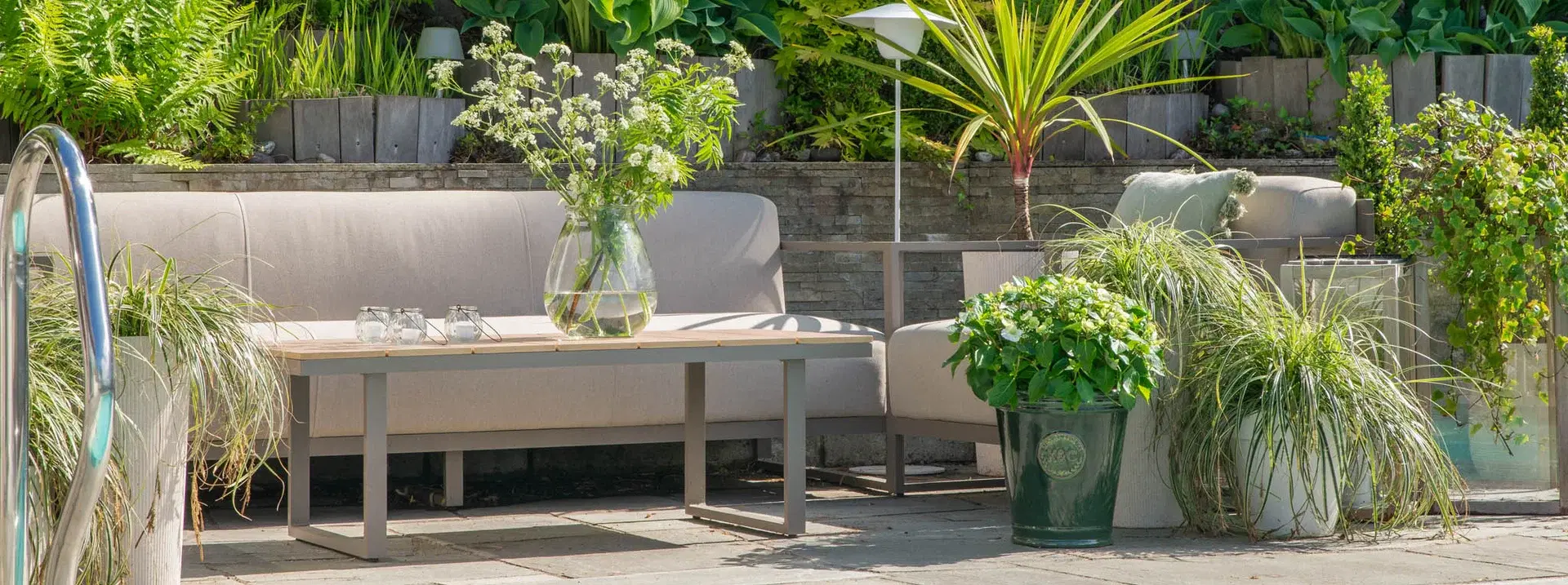 Up to 40% off all perennials in returnable pots