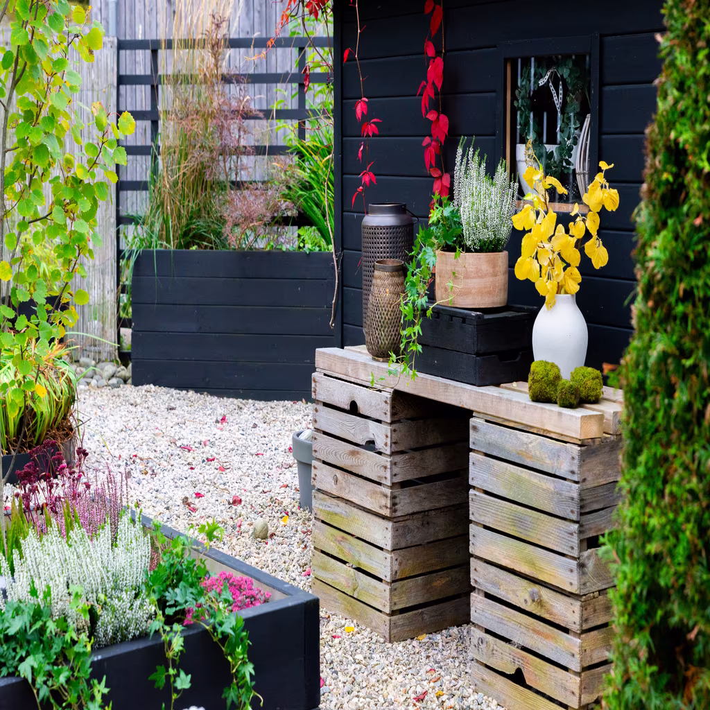 Garden visit: Autumn in Sylvia’s Japanese garden