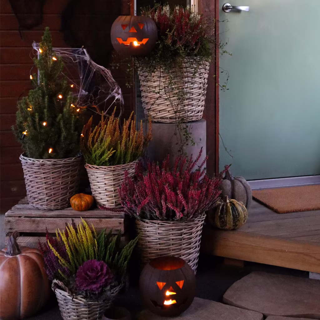 Halloween i hagen – 6 enkle triks for å skremme (og imponere!)