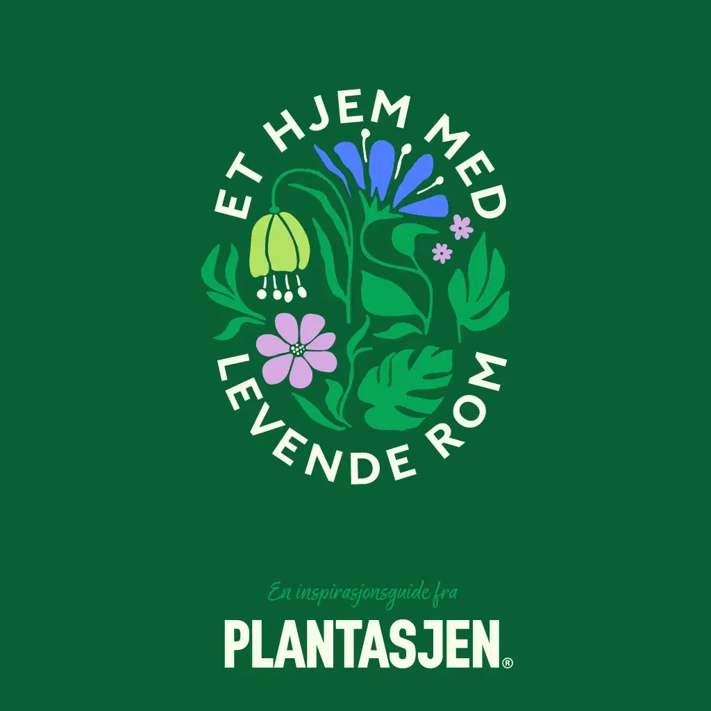 Et hjem med levende rom - en inspirasjonsguide 