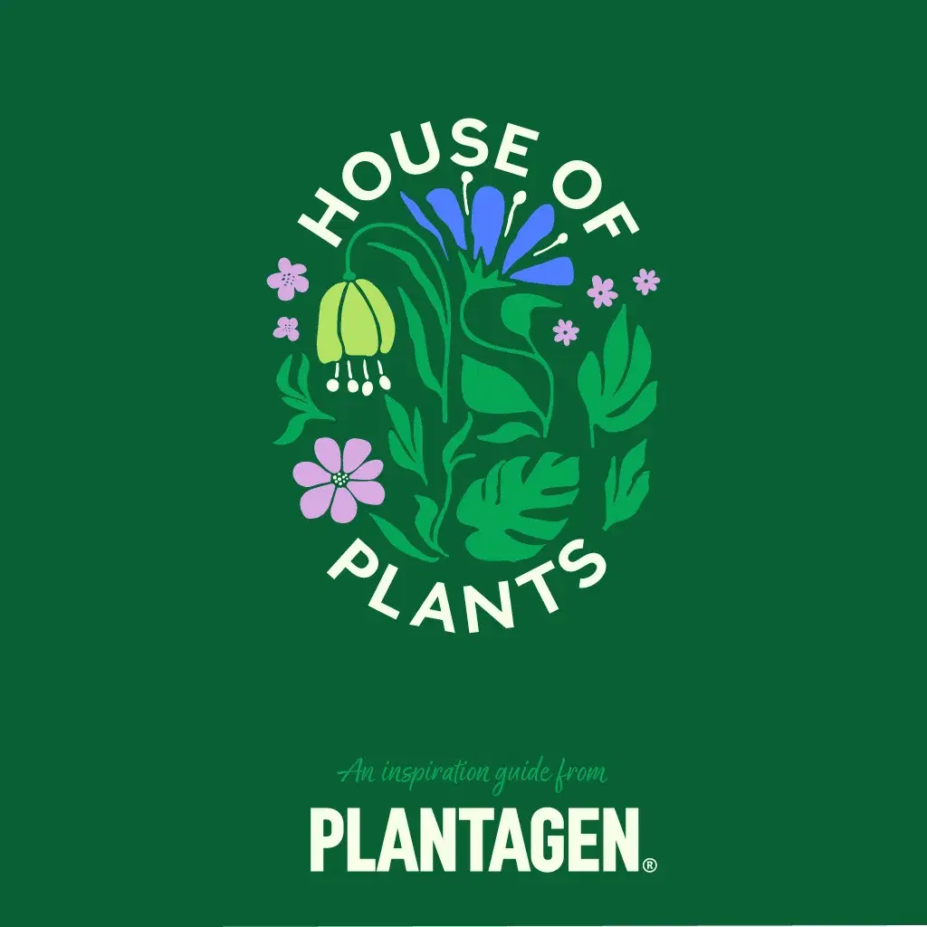 A house of plants - an inspiration guide