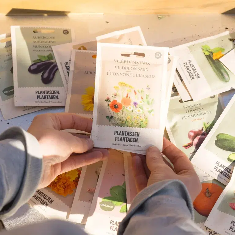 Seed school – sowing from seeds indoors