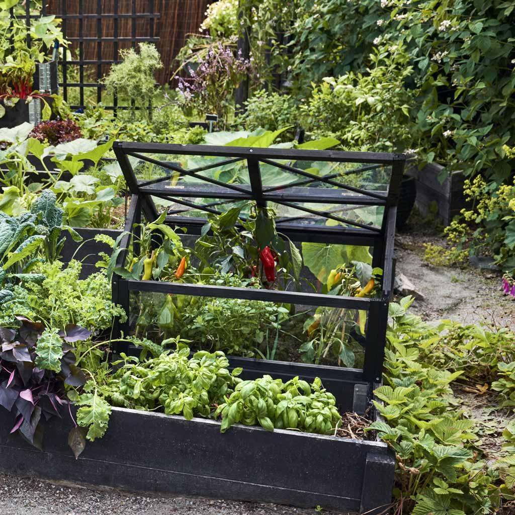 Greenhouses