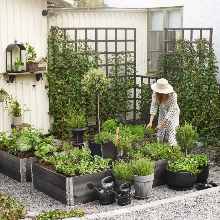 Creating a kitchen garden – how to succeed