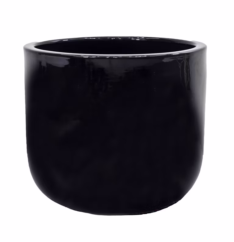 Pot Nova