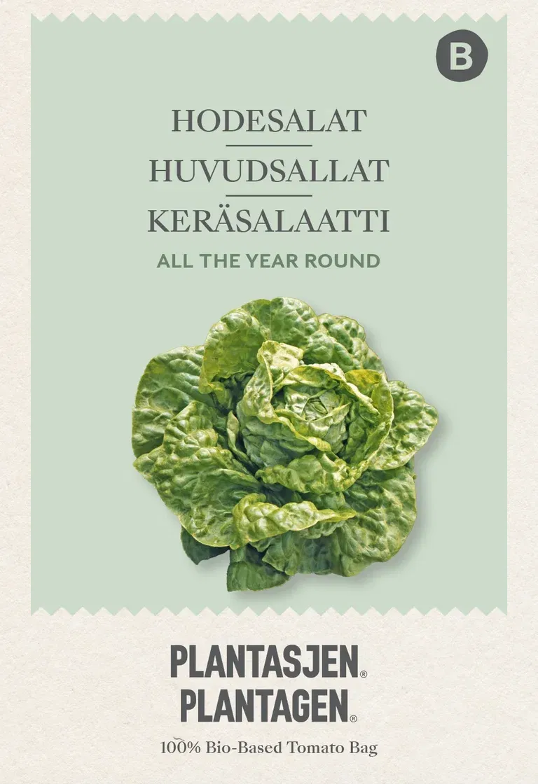 Hodesalat All The Year Round