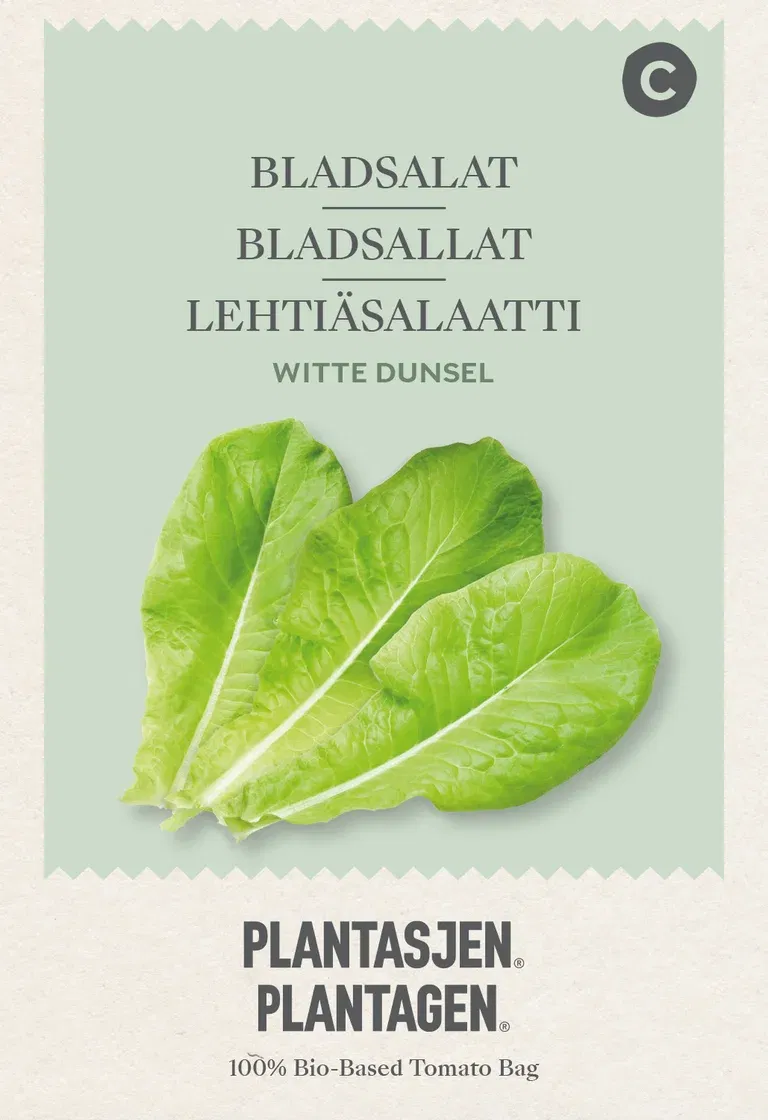 Bladsalat Witte Dunsel