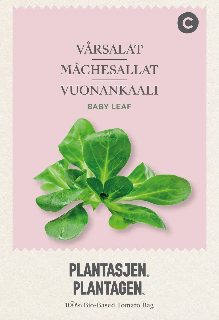 Babyleaf Vårsalat Grote Noordhollandse