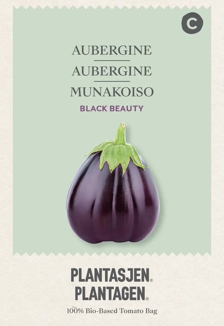 Aubergine Black Beauty